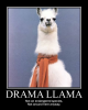 dramalama.png dramalama.png