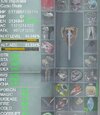 warrior.JPG warrior.JPG