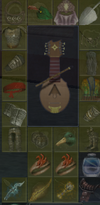 Screenshot 2024-06-05 221020.png