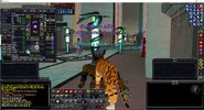 lvl 101 gear - lots of yellow and some purple.jpg