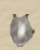 1783452270395.png
