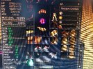 IMG_2969.jpeg