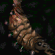 Larvae