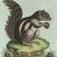 pcdjsquirrel