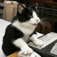 devCat