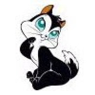 PussyFoot