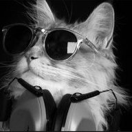 Roflcat2