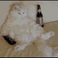 BadPuss