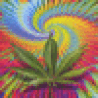 SmokinHippy