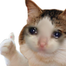yuurichan