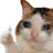 yuurichan
